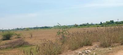 Image of 1200 Sq.ft Residential Plot / Land for sale in Arakkonam, Ranipet for Rs. 480000