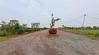 Image of 2000 Sq.ft 2 BHK Farm House for sale in Datrenga, Raipur for Rs. 10500000