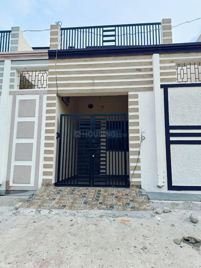 Gharu ameri Main Image 1