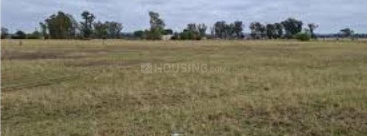 Doiwala Main Image 1