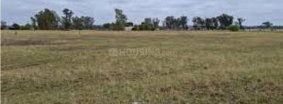 Doiwala Plot View 1