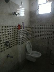 Bathroom Image of 1500 Sq.ft 3 BHK Apartment / Flat for rent in Singh More Ranchi for Rs. 15000