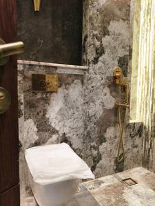 Common Bathroom Image of 2450 Sq.ft 4 BHK Builder Floor for sale in Paramount Luxury Floor Malibu Town, Sector 47 Gurgaon for Rs. 37500000