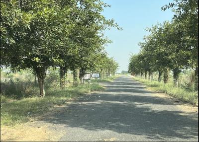 Image of 300 Sq.ft Residential Plot / Land for sale in Jewar, Greater Noida for Rs. 20000000