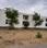 Bhambori Plot View 2