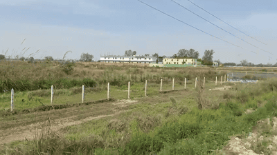 Image of 1350 Sq.ft Residential Plot / Land for sale in Radha Kund Road, Vrindavan for Rs. 7650000