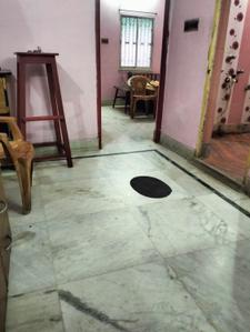 Hall Image of 780 Sq.ft 2 BHK Apartment / Flat for rent in Dum Dum Kolkata for Rs. 16000