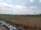 Thimmapur Plot View 2