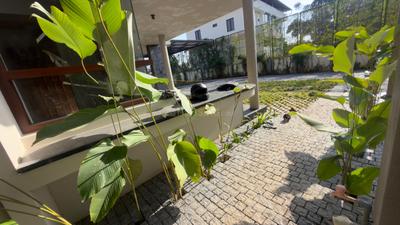 Image of 4500 Sq.ft 4 BHK Independent House for sale in Kakkanad, Kochi for Rs. 37500000