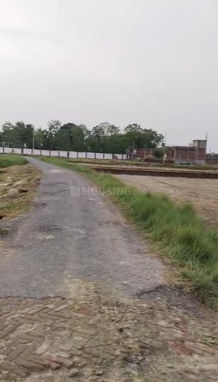 Bachchhao Main Image 1