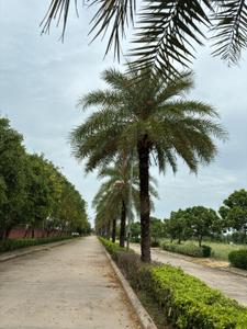 Image of 100 Sq.ft Residential Plot / Land for sale in NDLC City I Plots, Patan Kalan, Bhiwadi for Rs. 1400000