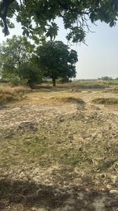 Image of 1400 Sq.ft Residential Plot / Land for sale in Babatpur, Varanasi for Rs. 3500000