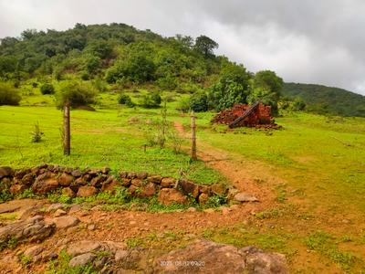 Image of 11840 Sq.ft Residential Plot / Land for sale in Panshet, Pune for Rs. 4155840