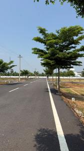 Image of 1376 Sq.ft Residential Plot / Land for sale in Ganeshapuram, Coimbatore for Rs. 2068128