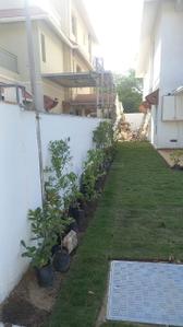 Image of 5652 Sq.ft 5 BHK Villa for rent in Bodakdev, Ahmedabad for Rs. 450000