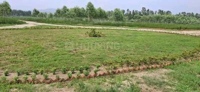Image of 1350 Sq.ft Residential Plot / Land for sale in Dharatal Shakumbhari Estate, Wazeedpur, Saharanpur for Rs. 1350000