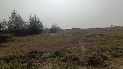 Image of 93108 Sq.ft 4 BHK Farm House for sale in Morjim, Goa for Rs. 1100000000