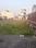 Vijay Nagar Plot View 2