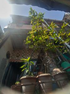 Balcony Image of 400 Sq.ft 1 RK Independent House for sale in Ghatkopar West Mumbai for Rs. 2500000