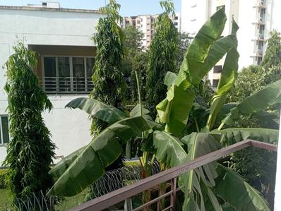 Balcony Image of 675 Sq.ft 2 BHK Apartment / Flat for rent in Bichpuri Agra for Rs. 6000