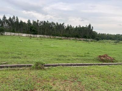 Ramapuram Plot View 2