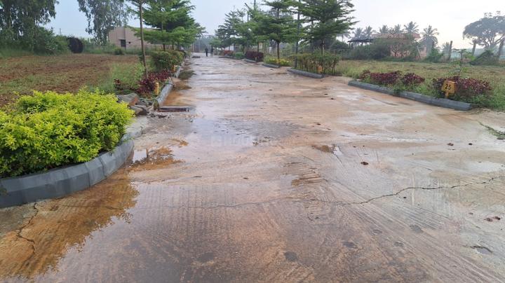 Karsten Palm Groves Main Image 1