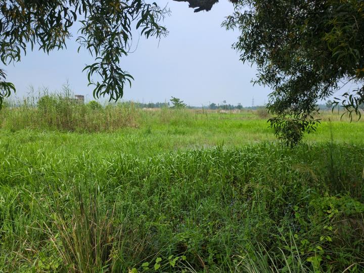 Wander Valley Main Image 1