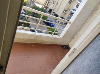 Balcony Image of 3385 Sq.ft 3 BHK Apartment / Flat for sale in Digjyoti Lifestyle Blu, Salaiya Bhopal for Rs. 9000000