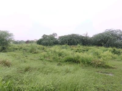 Rohini sector 34 Plot View 2