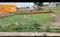 Rajatalab Plot View 1