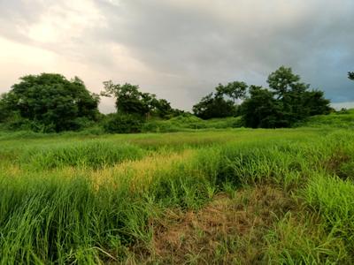 Image of 1089 Sq.ft Residential Plot / Land for sale in Parali, Raigad for Rs. 300000