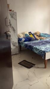 Bedroom Image of 550 Sq.ft 1 BHK Independent House for rent in Phi III Greater Noida for Rs. 15000