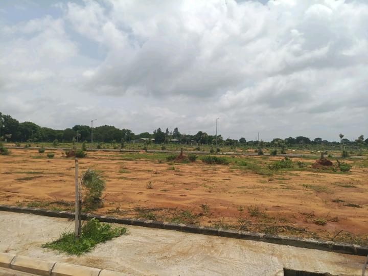 IDA Main Image 1