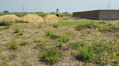 Image of 750 Sq.ft Residential Plot / Land for sale in Chirora, Patna for Rs. 1725000