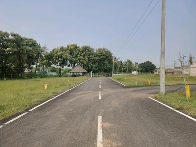 Residential Plot