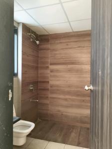 Common Bathroom Image of 600 Sq.ft 1 BHK Apartment / Flat for sale in Paranjape Blueridge The Groves, Hinjawadi Pune for Rs. 6500000