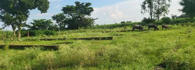 Image of 1800 Sq.ft Residential Plot / Land for sale in Amethi, Lucknow for Rs. 2700000