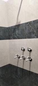 Bathroom Image of 800 Sq.ft 1.5 BHK Apartment / Flat for rent in Sector 110 Gurgaon for Rs. 13000