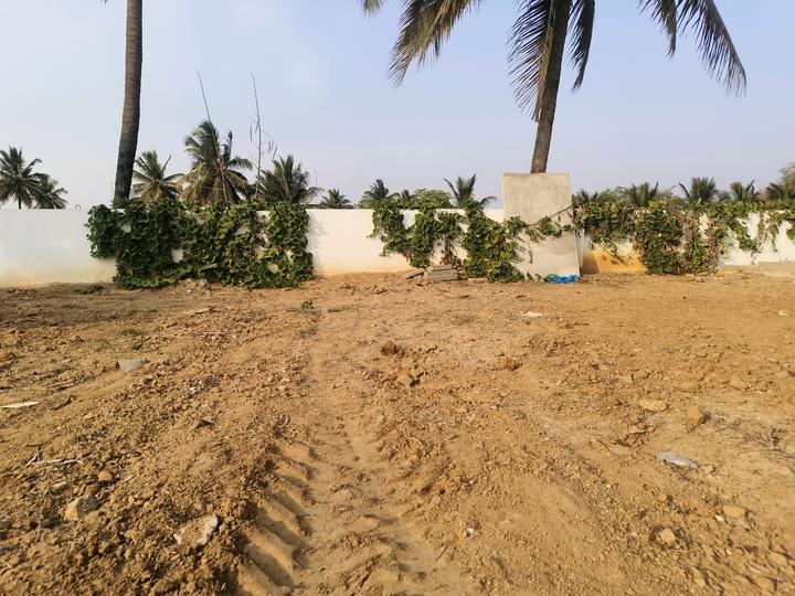 Ruby Sizzle Heritage by Sizzle Properties Main Image 1