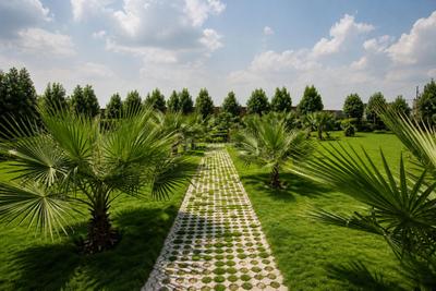 Image of 1500 Sq.ft Residential Plot / Land for sale in Wallfort Parkview phase 1, Datrenga, Raipur for Rs. 3300000