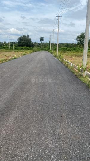 Danagalli Main Image 1
