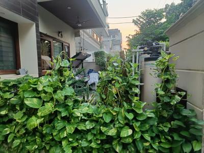 Image of 400 Sq.ft 1 RK Independent House for rent in Sector 28, Faridabad for Rs. 17500
