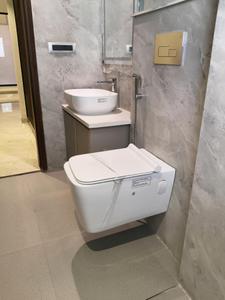 Common Bathroom Image of 3240 Sq.ft 4 BHK Builder Floor for sale in Palam Vihar Gurgaon for Rs. 33000000