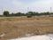 MS Developers Plot View 2