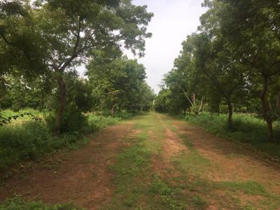 Image of 4800 Sq.ft Residential Plot / Land for sale in Maraimalai Nagar, Chennai for Rs. 4800000