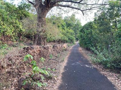 Image of 99000 Sq.ft Residential Plot / Land for sale in Khed, Chiplun for Rs. 10000000