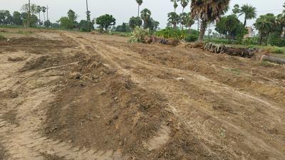 Kandi Plot View 2