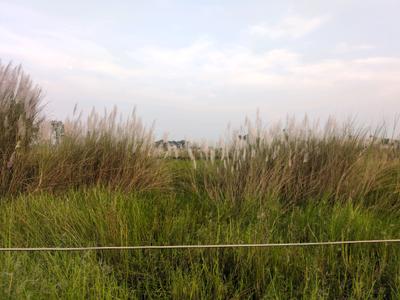 Image of 720 Sq.ft Residential Plot / Land for sale in Nest Valley, Joka, Kolkata for Rs. 150005