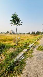 Image of 238 Sq.ft Residential Plot / Land for sale in Altus Muirwoods Ecocity Extension 1, New Chandigarh, Chandigarh for Rs. 20000000