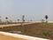 PLATINUM RIDGE Plot View 2
